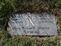 Image for 101 - Mary Elizabeth Horton Stribling - Mount Zion Cemetery - Grayson County, TX