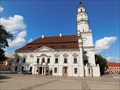 Image for Town Hall - Kaunas, Lithuania