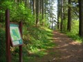 Image for Doach Wood Parking area map, Dumfries and Galloway