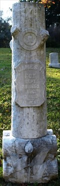Image for James I Fox - St. Alban's Episcopal Church Cemetery - Bovina, MS