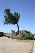 Image for Tree Rock -- Buford WY