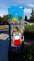 Image for Pleasanton Streets - Pleasanton, CA