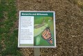 Image for Monarchs and Milkweeds @ Topiary Garden - St. Louis Zoo - St. Louis, MO