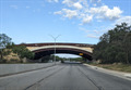 Image for Largest Wildlife Bridge In U.S. Opens Friday At San Antonio's Hardberger Park - Texas
