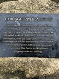 Image for Chicago Riverwalk Flora and Fauna Plaques - Chicago, IL