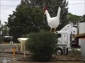 Image for Chicken - Moonbi, NSW, Australia