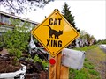 Image for Cat Xing - Houlton, Maine