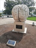 Image for Brain Sculpture - Bloomington, IN