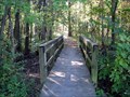 Image for Bottomlands Trail Bridge - Big Oak Tree State Park - Missouri