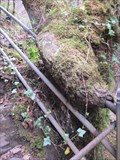 Image for Tree Eating Handrail, Devils Bridge, Ceredigion, Wales, UK