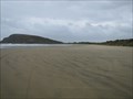 Image for Cannibal Bay Beach - Owaka, New Zealand