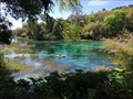 Image for Rainbow Springs State Park - Dunnellon, Florida, USA
