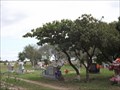 Image for Lasara Memorial Cemetery - Lasara TX