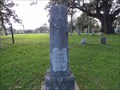 Image for Arthur H. Gardiner - Columbus Odd Fellows Rest Cemetery, Columbus, TX