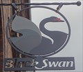 Image for Black Swan, Borgergade 93 - Copenhagen, Denmark
