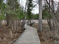Image for Trail 26C Boardwalk in Stoney Swamp - Ottawa, Ontario, Canada