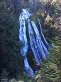 Image for Diamond Creek Falls - Willamette National Forest, Oregon