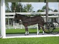 Image for Carriage Village Horse - N. Ft. Myers, FL