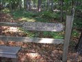 Image for Adam Miller - Old Allatoona Cemetery Pathway Project
