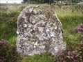 Image for C B Stone, Near Soussons, Dartmoor, Devon UK