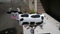 Image for Cow Mailbox - Molalla Oregon