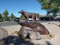 Image for Wolf - Albuquerque, New Mexico