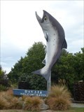 Image for Giant Salmon - Rakaia, New Zealand