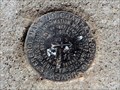 Image for BQ0298 - "MCDONALD RM 3" reference mark disk - Mount Locke, TX
