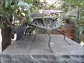 Image for Ladybug - Encinitas, CA
