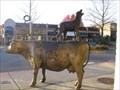 Image for Cow and the Coyote - Kirkland, Washington