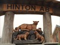 Image for Cougars - Hinton, Alberta