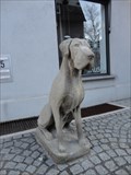 Image for Dogge - Bachgasse Tübingen, Germany, BW