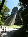 Image for Tikal Temple V Pyramid - Tikal, Peten, Guatemala