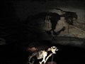 Image for Megafauna Fossil Site - Victoria Cave, Naracoorte SA