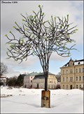 Image for The Tree / Strom (Nový Bor - North Bohemia)