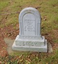 Image for Deborah Lilly - Lilly Cemetery, Castle Creek, NY