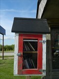 Image for Lamoni Visitor Center Little Free Library - Lamoni, Iowa