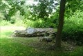 Image for Alligator - Nichols Park, Spencer, NY