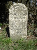 Image for Cut Benchmark: England / Wales border (Old Radnor)