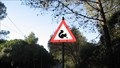 Image for Squirrels ahead, Lisbon, Portugal