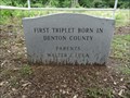 Image for FIRST Triplet Born in Denton County - Ponder, TX