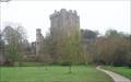Image for Blarney Stone - Blarney Castle- Cork