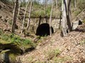 Image for Noland Tunnel - Coshocton County, Ohio