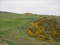 Image for Stonehaven Golf Club - Aberdeenshire, Scotland.