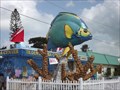 Image for Angelfish - Tilden's Scuba Center - Marathon FL
