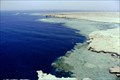 Image for Shark Reef,Ras Mohammed, Sinai, Egypt