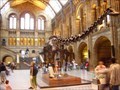 Image for Natural History Museum of London London, UK