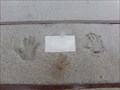 Image for The Handprints of Aldermen