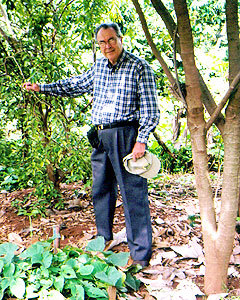 Esta foto mostra o Dr. Kerr ao lado de várias plantas, nela ele está de pé apoiando com a mão direita em um galho da vegetação. Ele veste uma calça social e camisa de manga comprida quadricula azul e segura um chapéu na sua mão esquerda. 