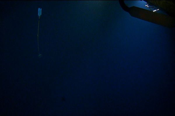 Image of the the Challenger Deep Earthcache being released at the deepest point of the ocean. 
